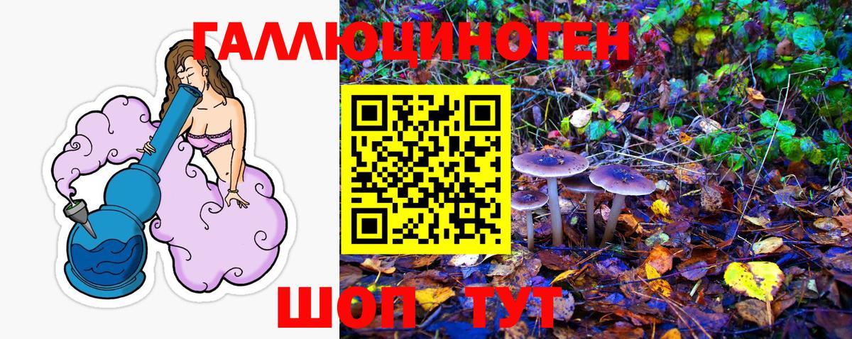 Псилоцибиновые грибы мухоморы  Вход с VPN  Королёв 