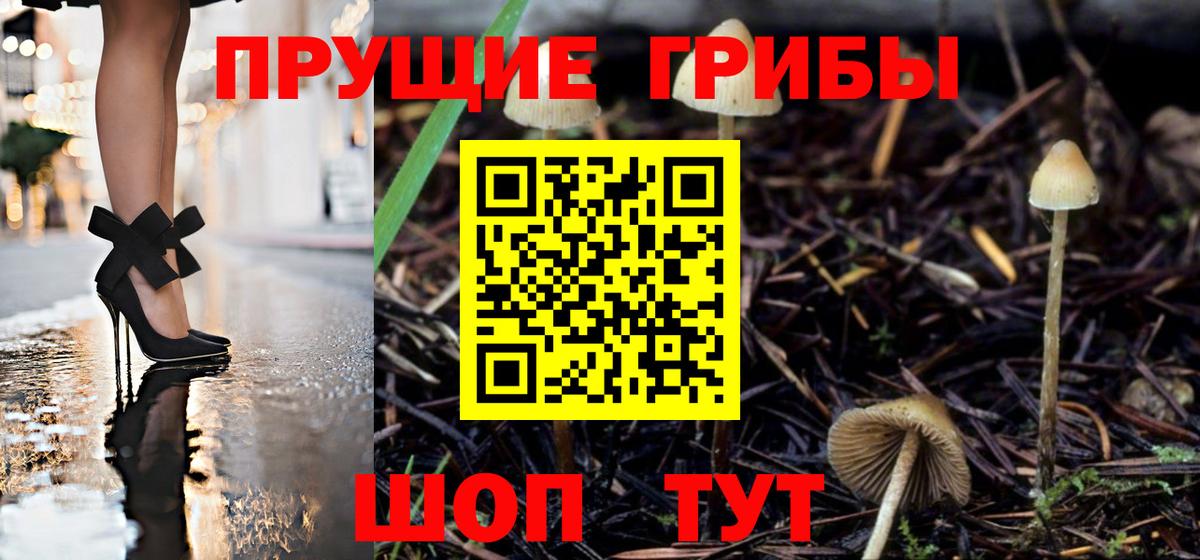 Галлюциногенные грибы мицелий Королёв